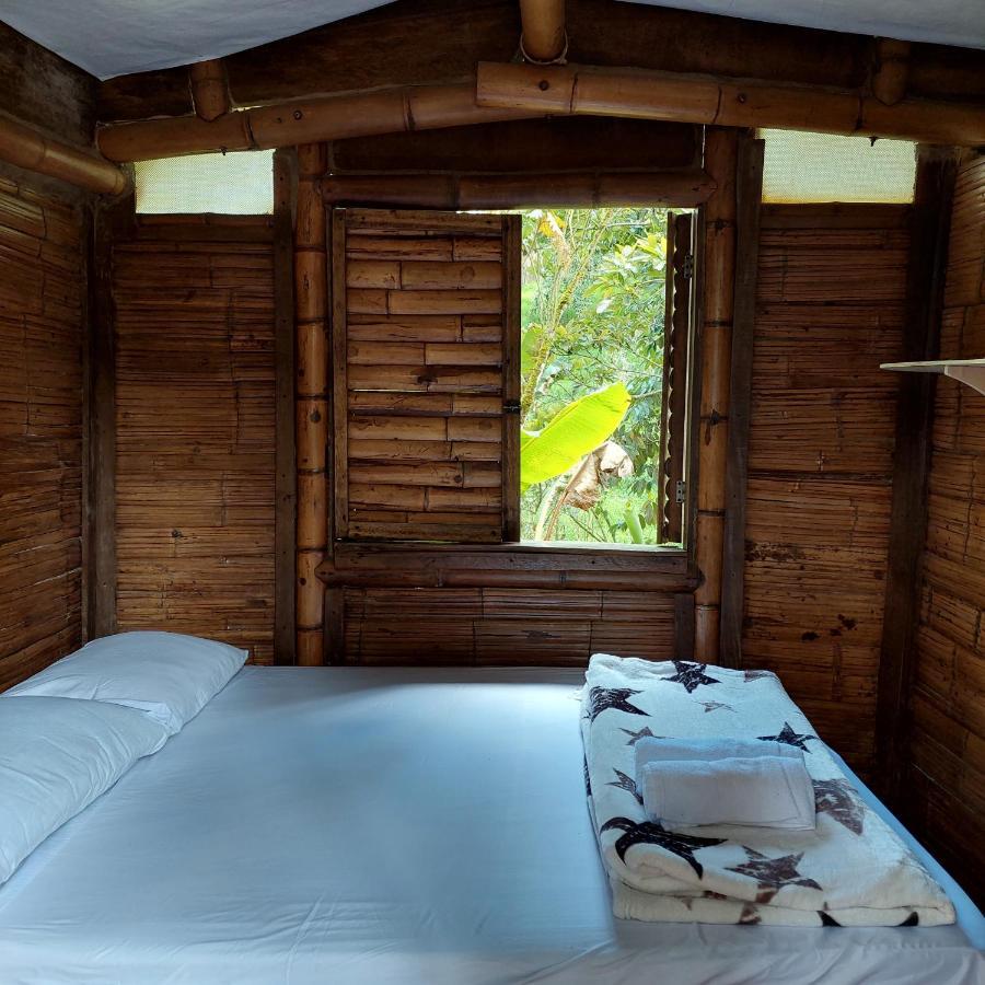 Hostal La Pijarana Salento Ngoại thất bức ảnh