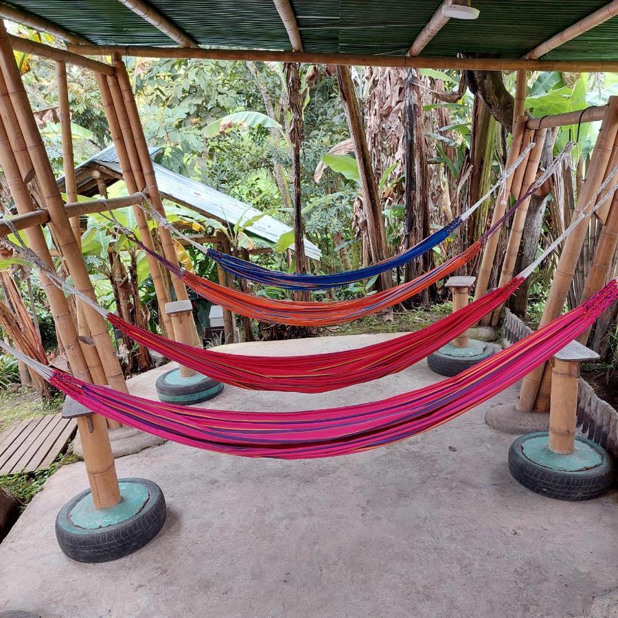 Hostal La Pijarana Salento Ngoại thất bức ảnh