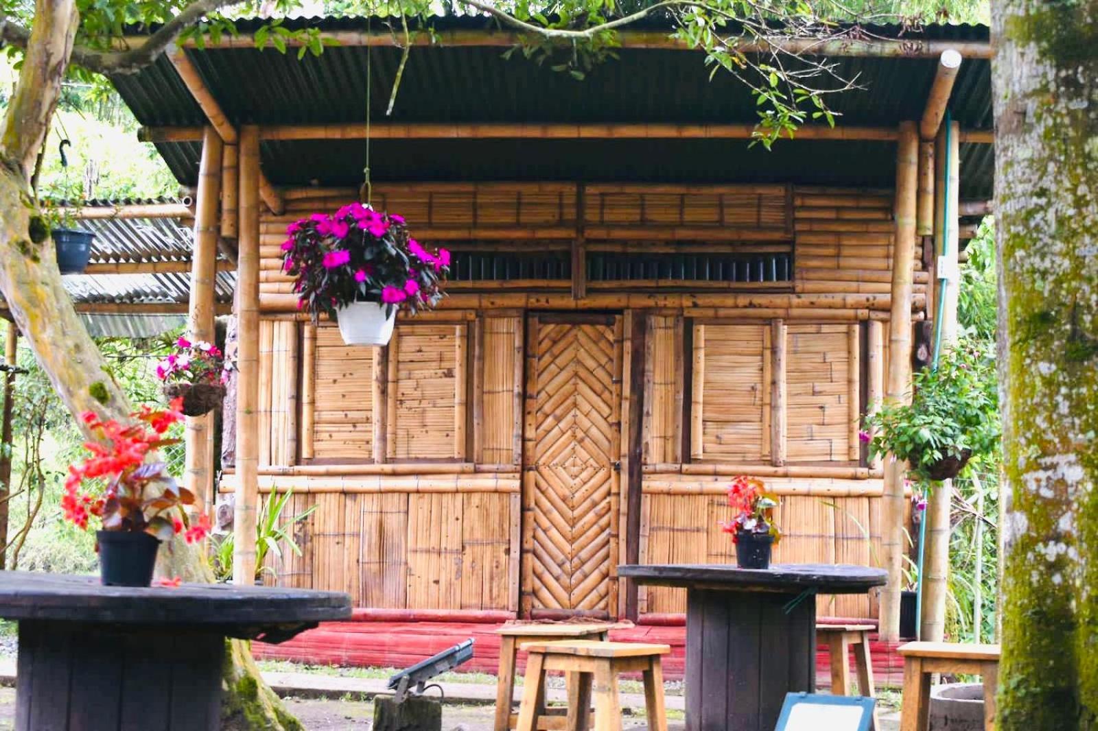 Hostal La Pijarana Salento Ngoại thất bức ảnh